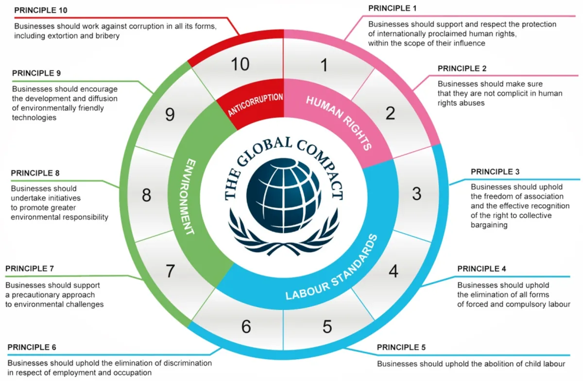 The 17 Sustainable Development Goals
