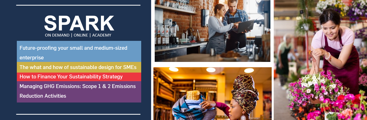 SPARK – Igniting Sustainable Growth & Impact for SMEs